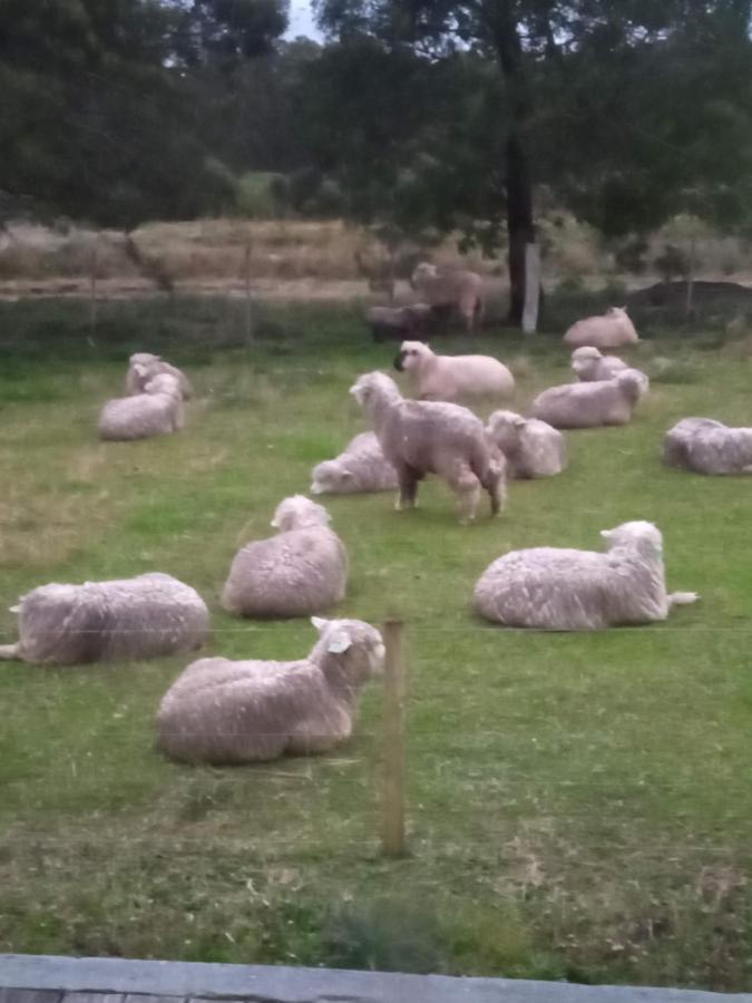 Pousada Do Pampa Jaguarão エクステリア 写真